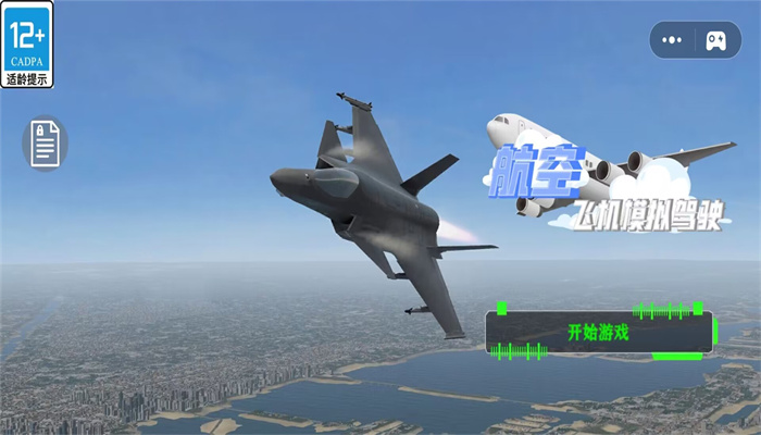 航空飞机模拟驾驶(1)