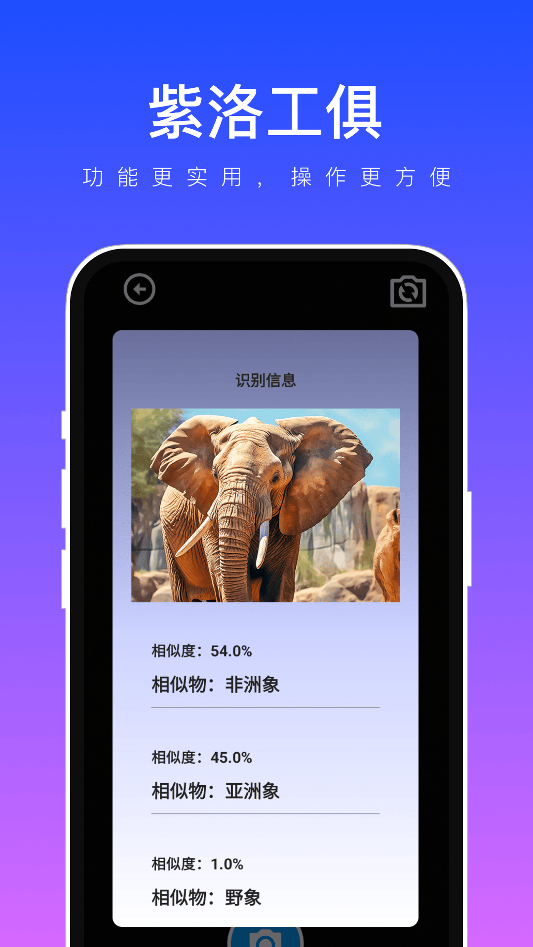 紫洛工俱(2)