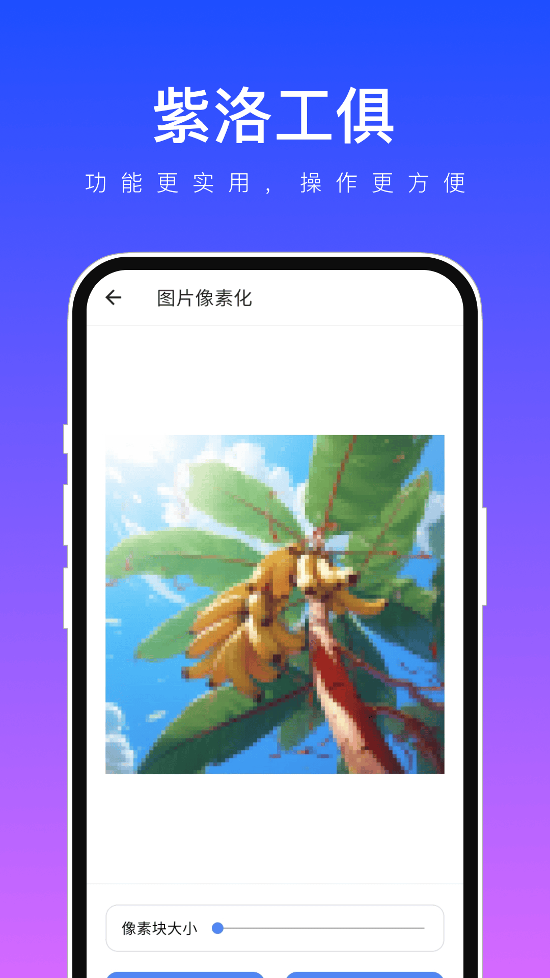 紫洛工俱(3)