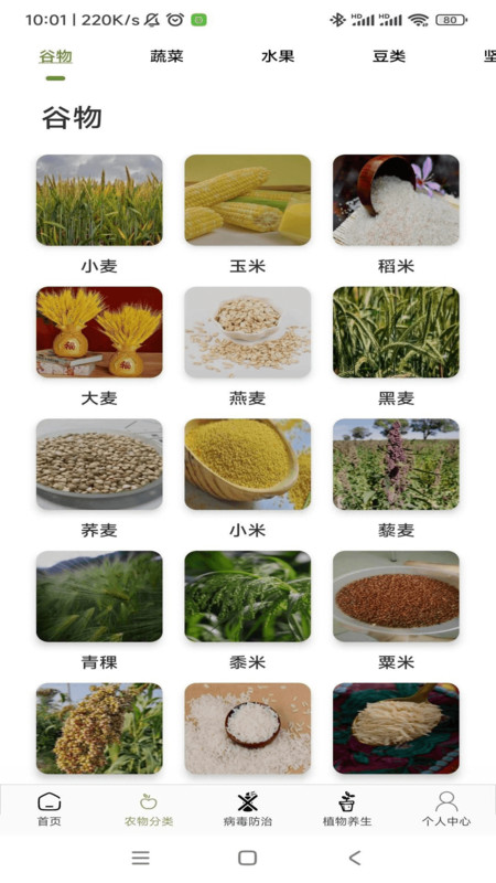 农场妙手(3)