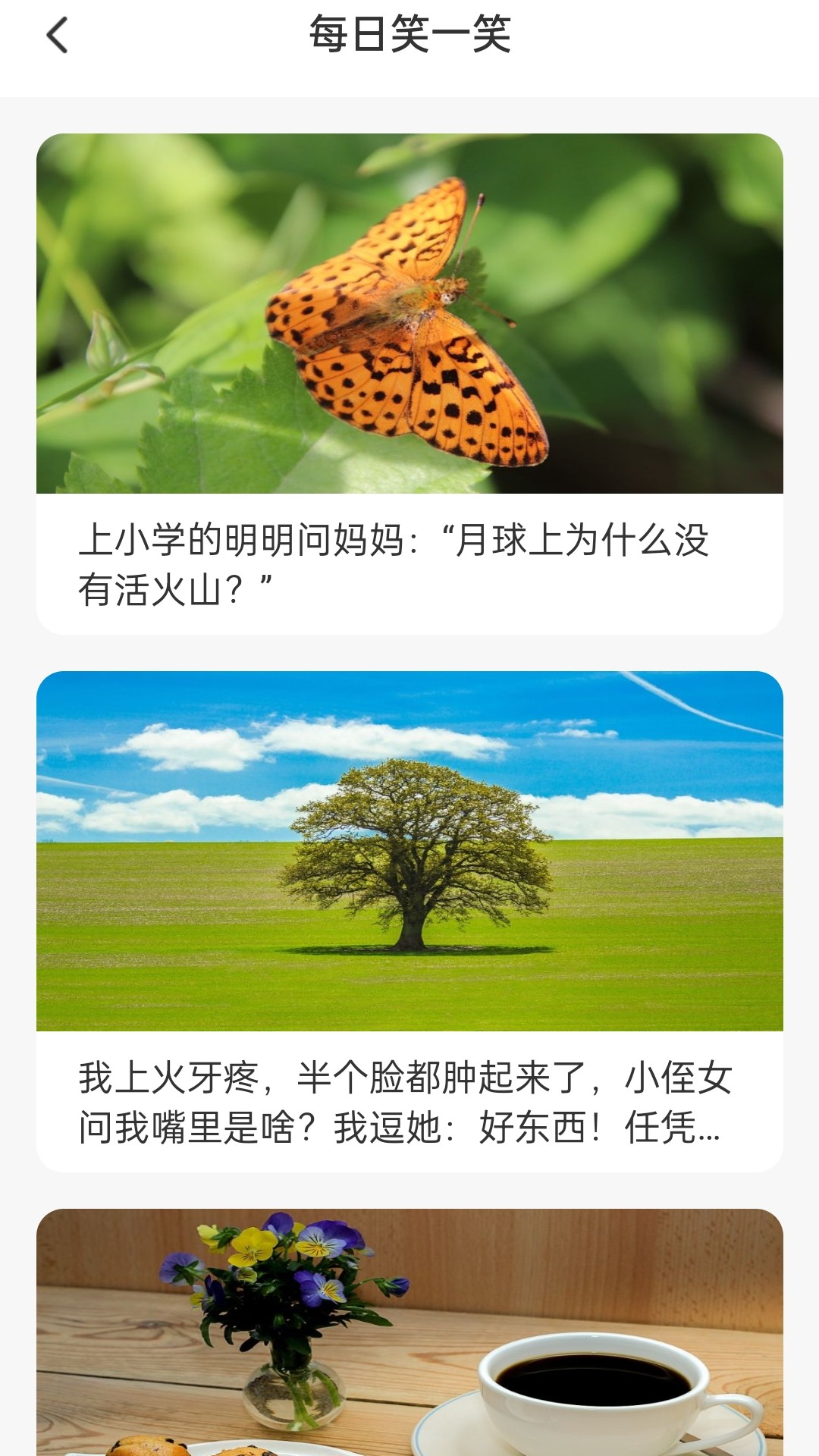福宝充充(2)