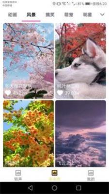 欢喜来电铃声.jpg