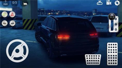 真实泊车2自由模式(2)