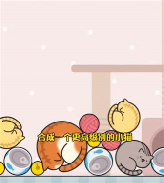 猫咪趣味合成.jpg