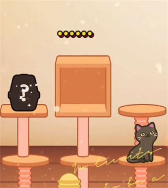 猫咪趣味合成.jpg