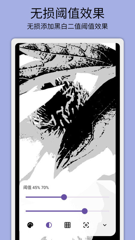 灰阈相机(1)