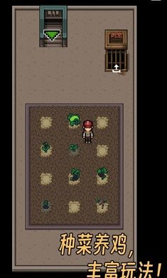 生存之志2无限金币版(4)