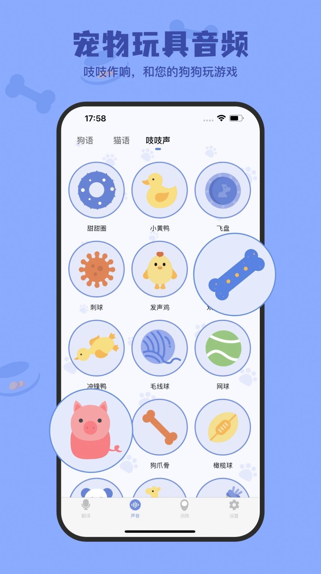 小白交流翻译.jpg