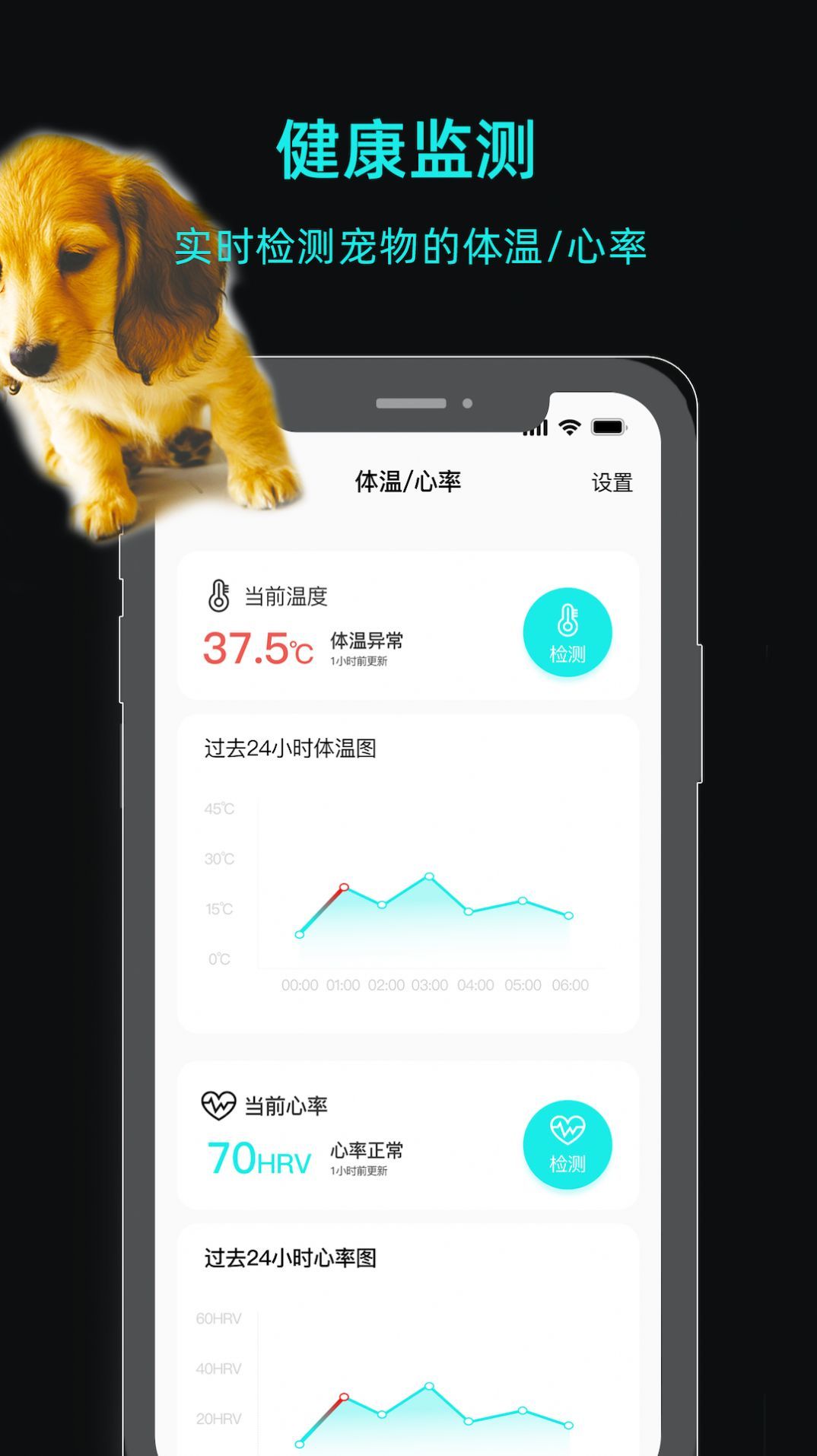 一聪小白(2)