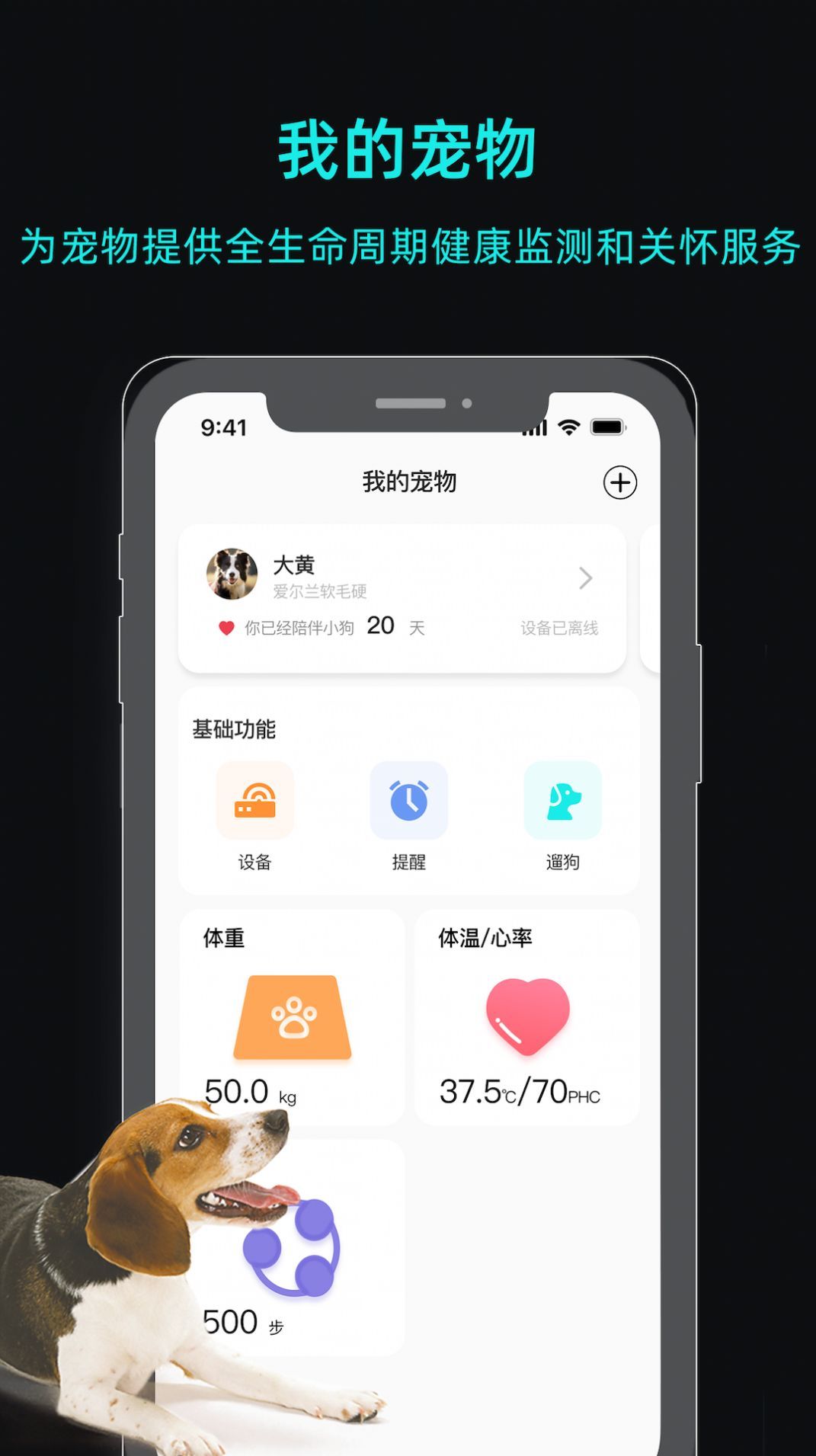 一聪小白.jpg