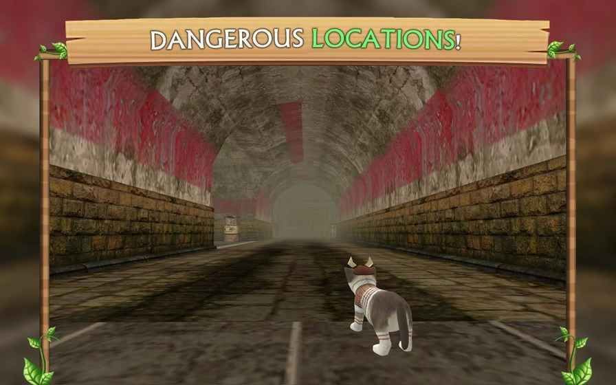 猫咪生存模拟器无限金币版(2)