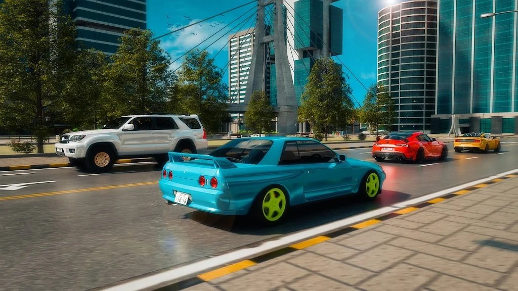 道路驾驶汽车模拟器(3)
