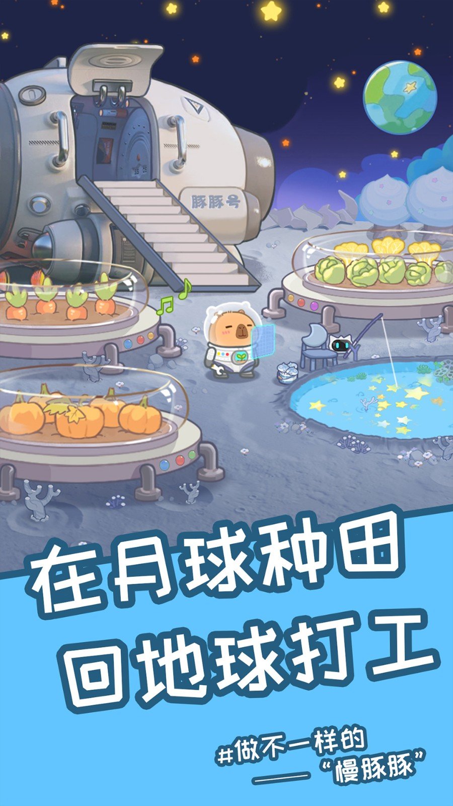 慢豚豚的生活(3)