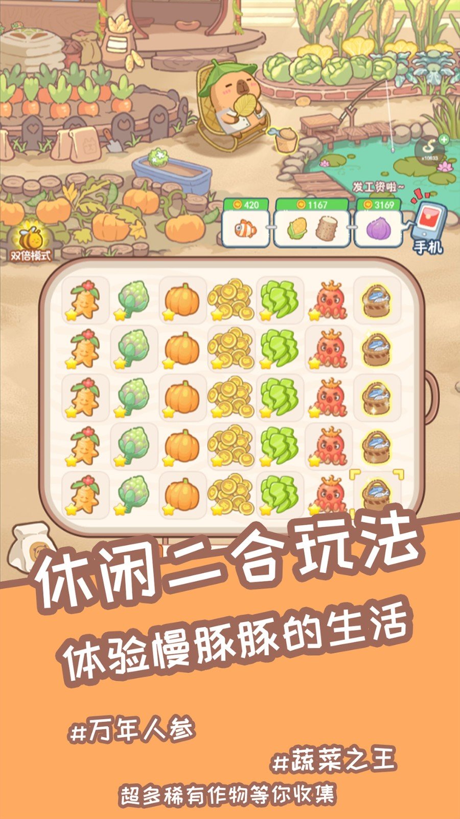 慢豚豚的生活.jpg