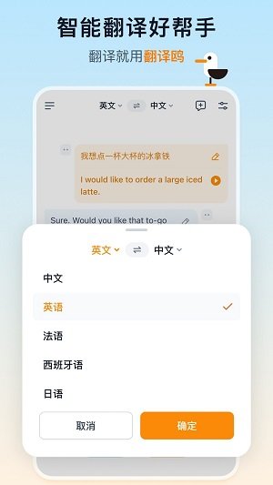 翻译鸥(2)