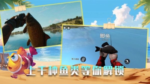 垂钓高高手(1)
