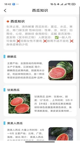 西瓜乐刷.jpg
